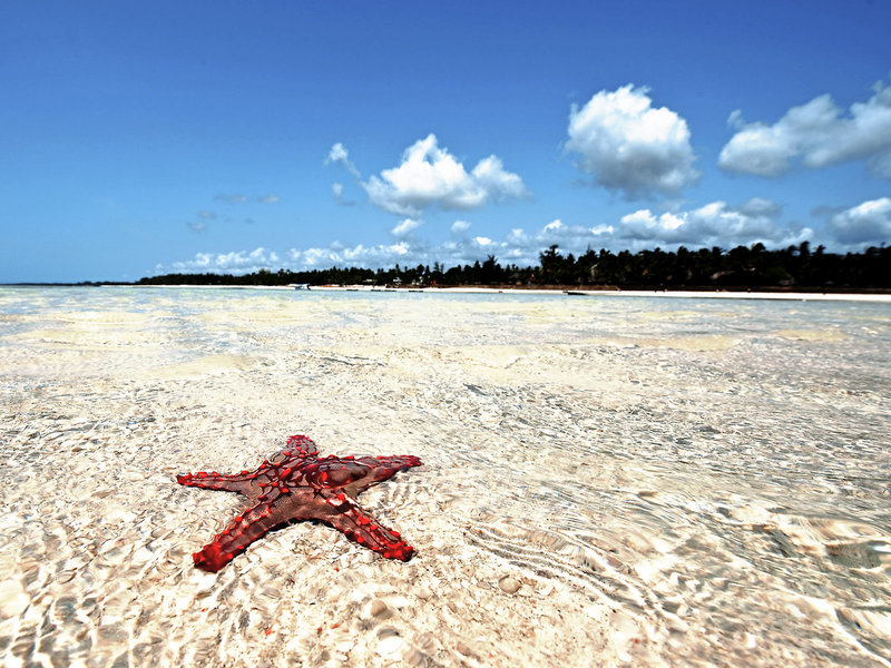 Neptune Paradise Beach Resort & Spa 6