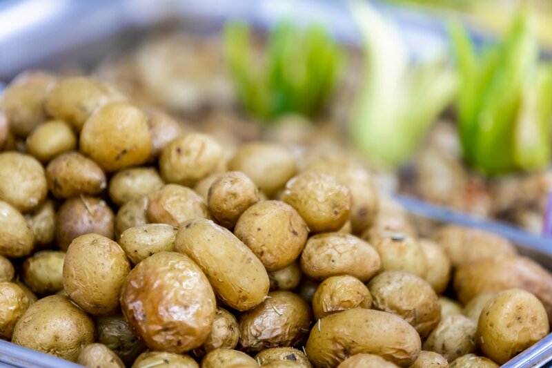 Prestige Deluxe Hotel Aquapark Club 288