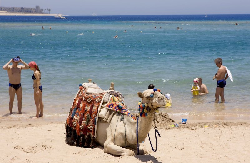 Jaz Makadi Star & Spa 18