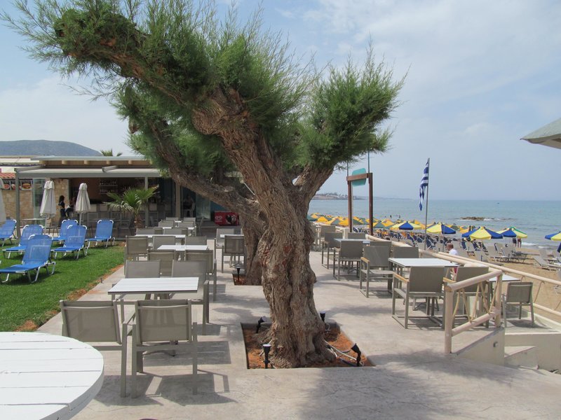 Malliotakis Beach Hotel 15