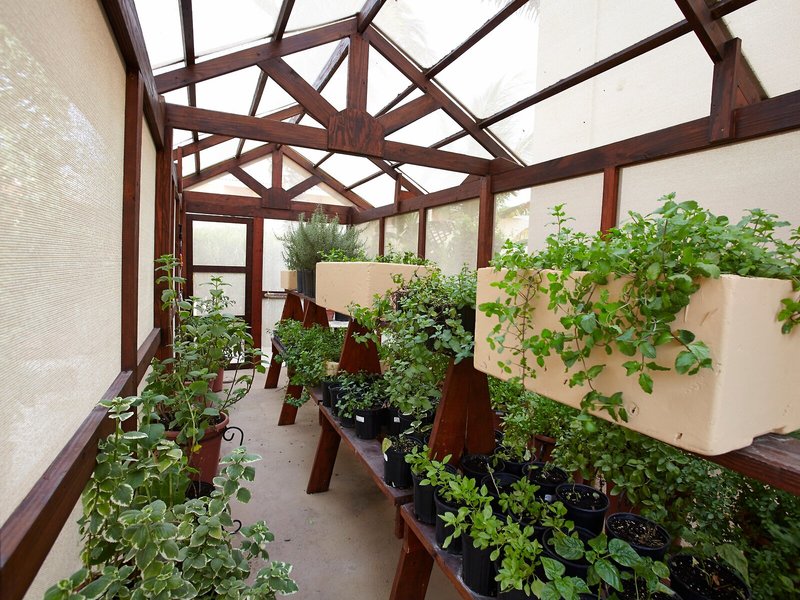 Manchebo Beach Resort & Spa 6 - Landscape