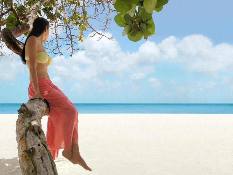 Manchebo Beach Resort & Spa 7 - Landscape