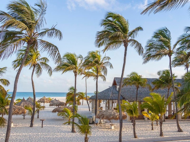 Manchebo Beach Resort & Spa 17 - Beach