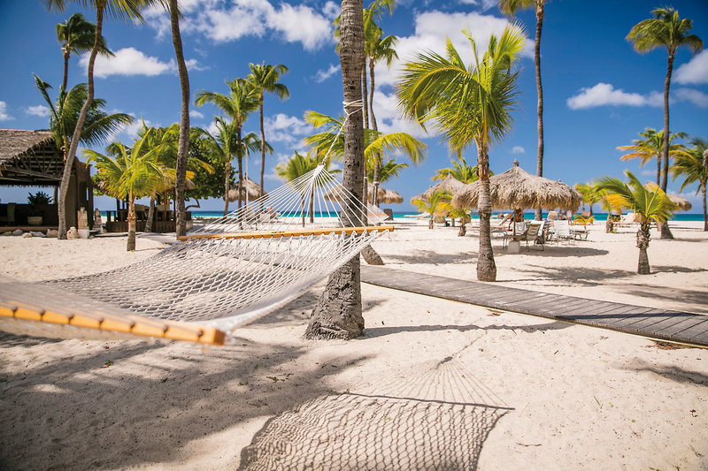 Manchebo Beach Resort & Spa 8