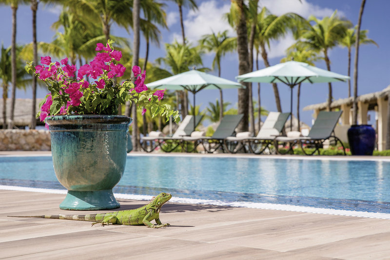 Manchebo Beach Resort & Spa 15