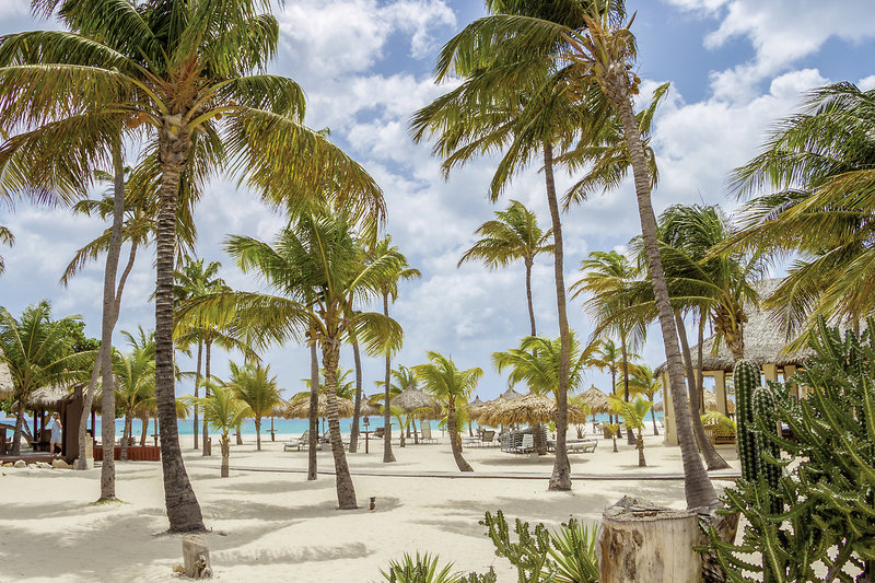 Manchebo Beach Resort & Spa 17