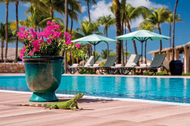 Manchebo Beach Resort & Spa 32