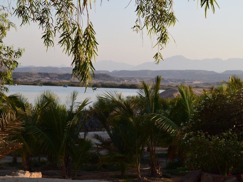 Mangrove Bay Resort 34