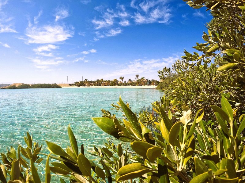 Mangrove Bay Resort 2