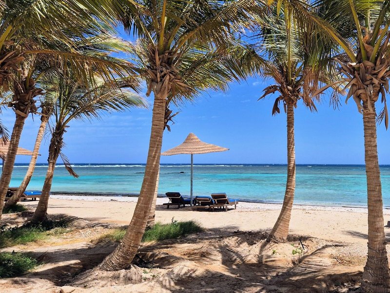 Mangrove Bay Resort 7