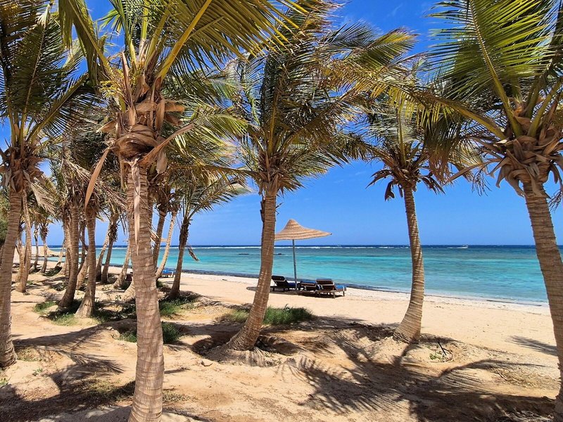 Mangrove Bay Resort 8