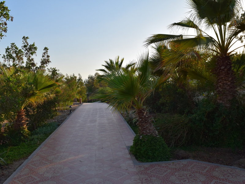 Mangrove Bay Resort 33