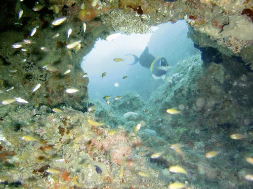 Bahari Beach Hotel 40