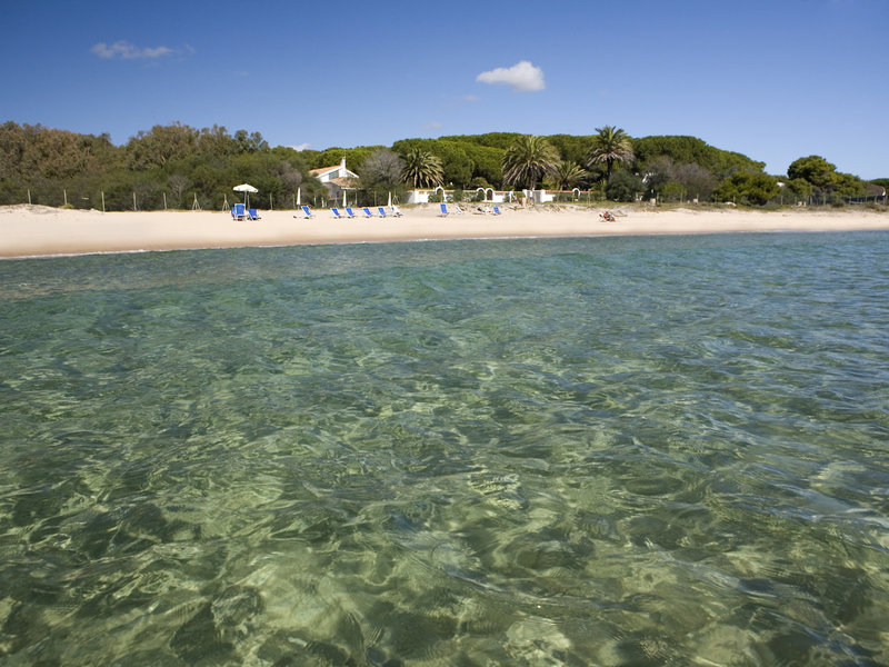 Mare Pineta 7