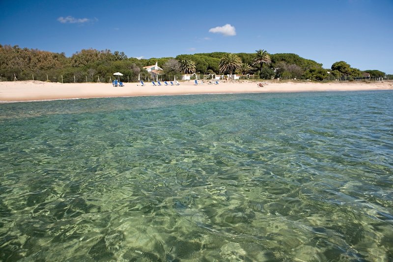 Mare Pineta 3