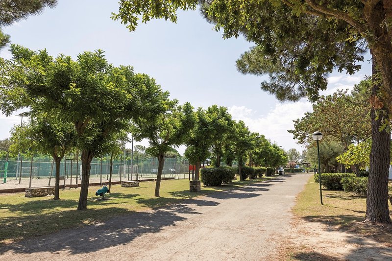 Residence Mare Pineta 17 - Garden
