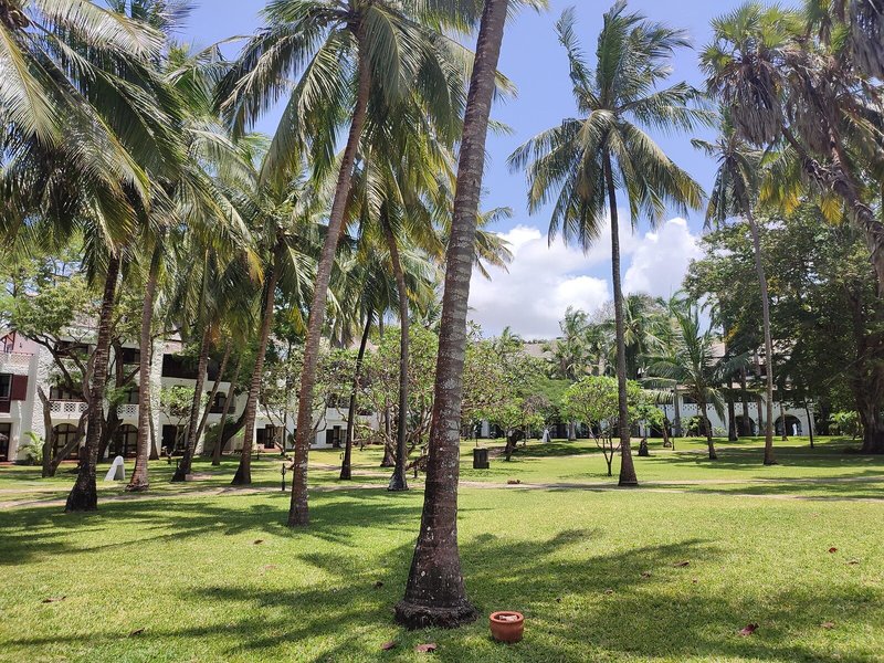 Serena Beach Resort & Spa 10