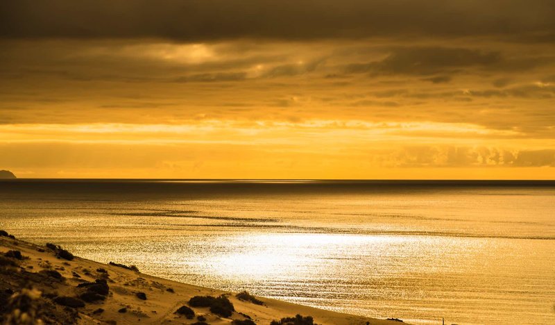 Marina Playa Suites 6