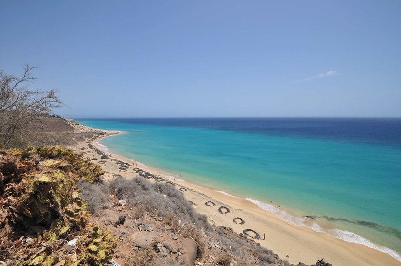 Marina Playa Suites 8