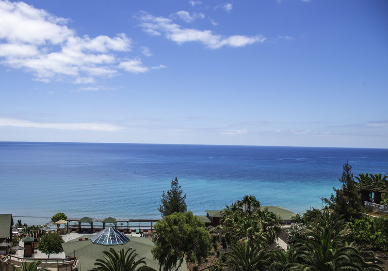 Marina Playa Suites 3