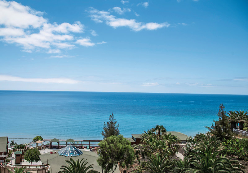 Marina Playa Suites 4