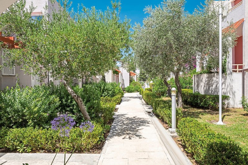 Bluesun Holiday Village Afrodita 25