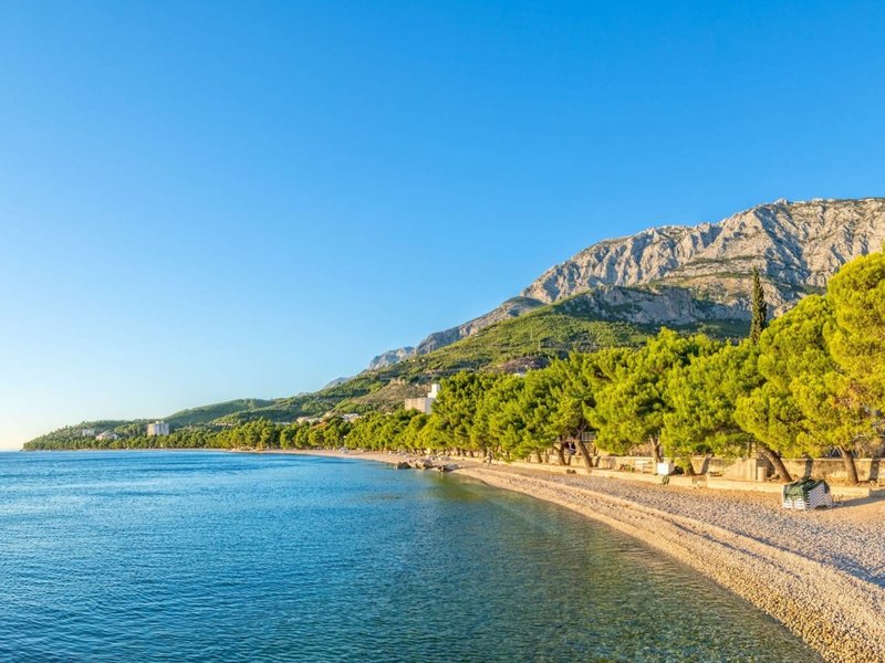 Bluesun Alga 10 - Beach