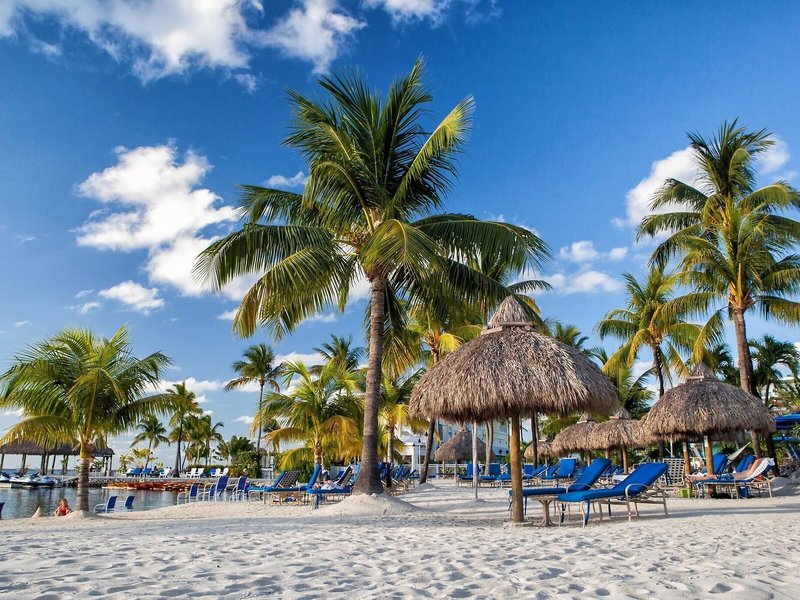 Reefhouse Resort & Marina 15