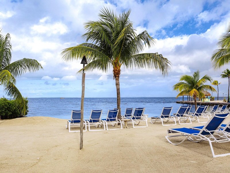 Reefhouse Resort & Marina 18