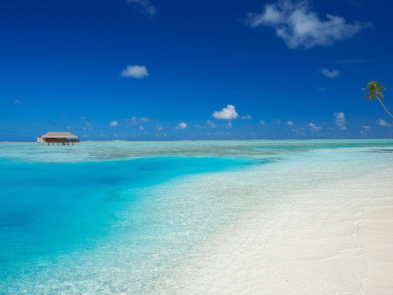 Medhufushi Island Resort 20