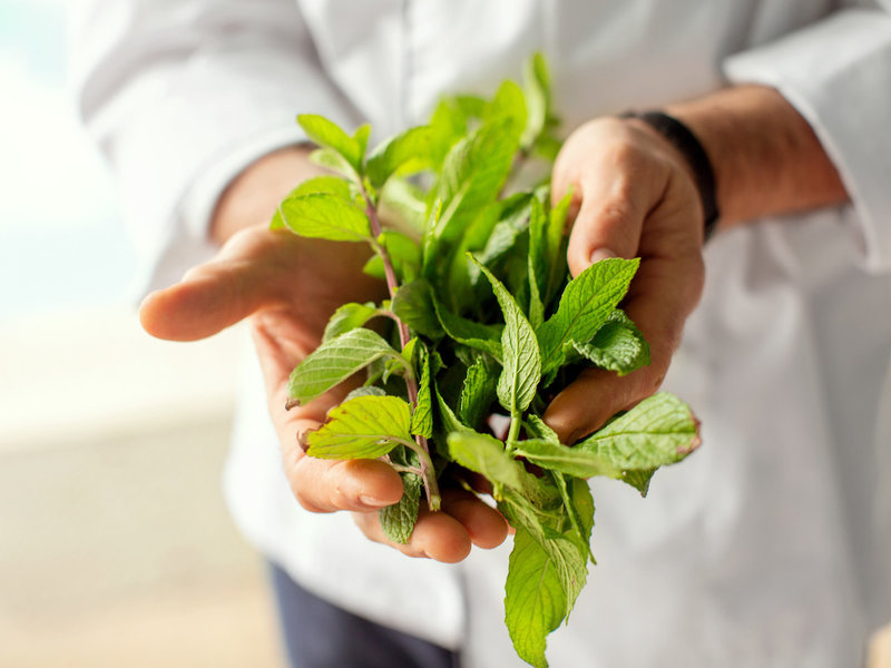 Mediterranean Resort 12