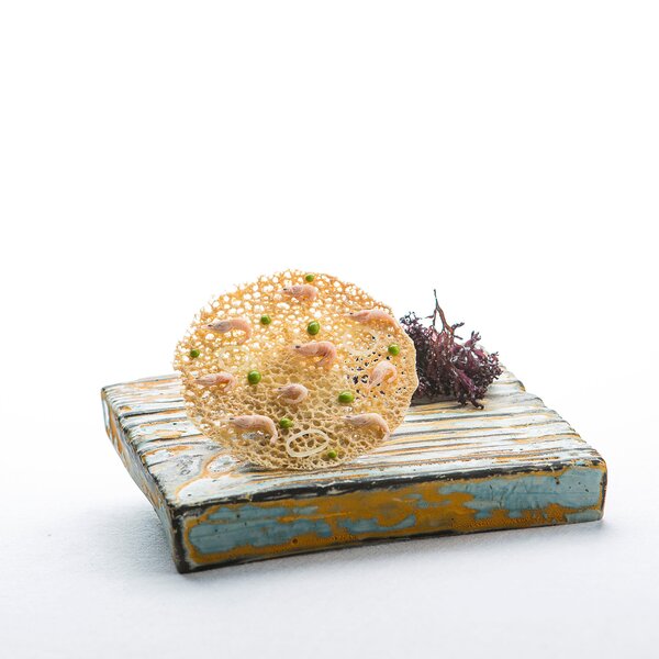 Melia Sancti Petri 44