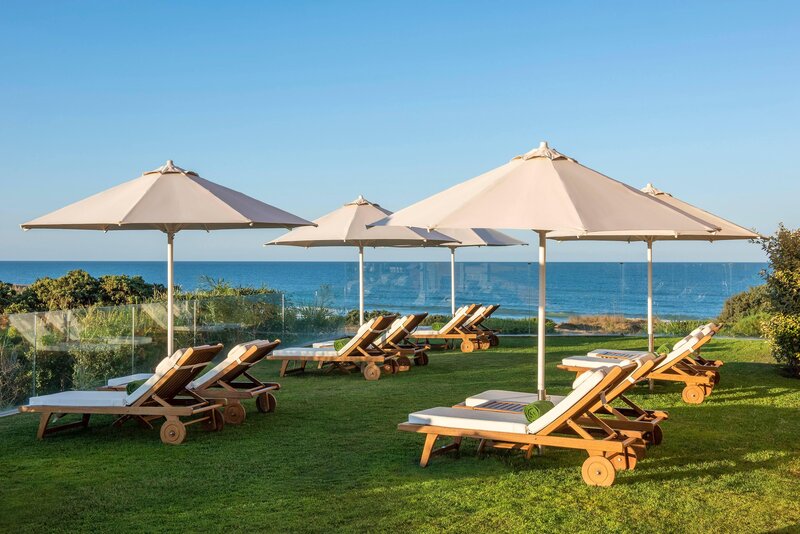 Melia Sancti Petri 201