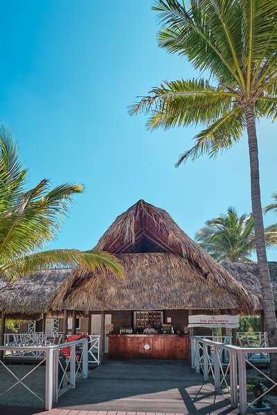 Roc Arenas Doradas 33