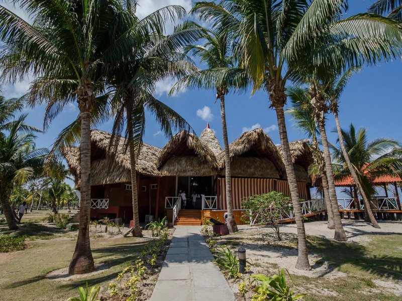 Roc Arenas Doradas 46