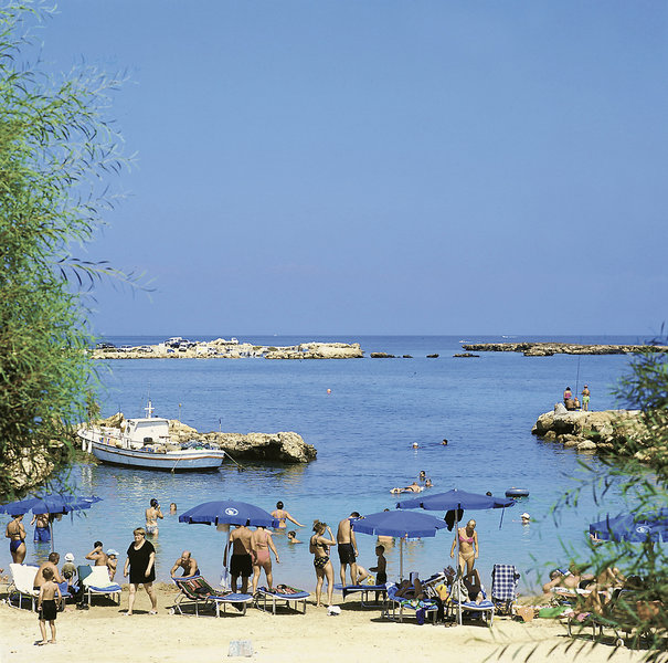 Mimosa Beach 12