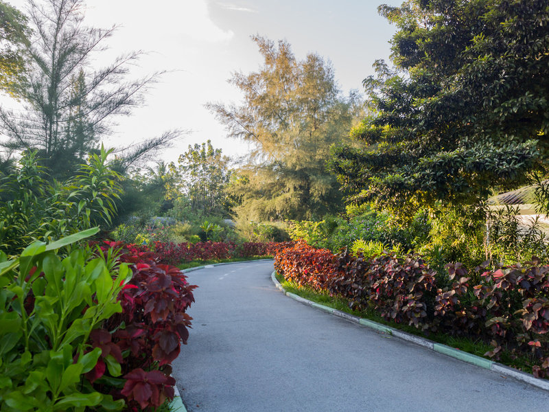 Equator Village 12