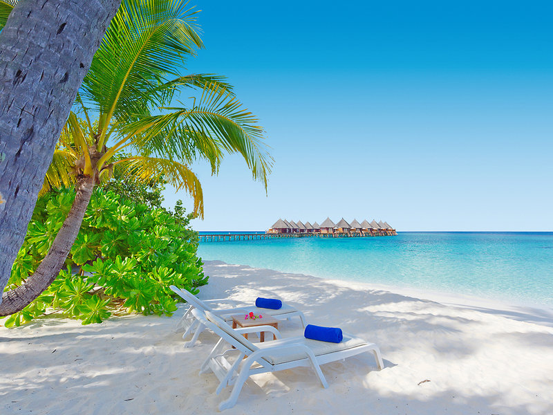 Angaga Island Resort & Spa 4