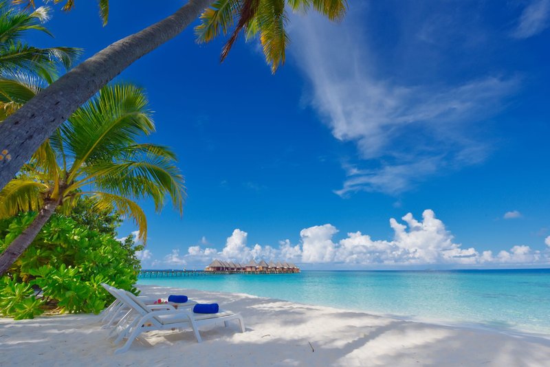 Angaga Island Resort & Spa 4