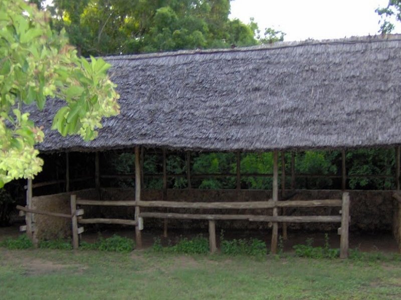 Mombasa Beach 6