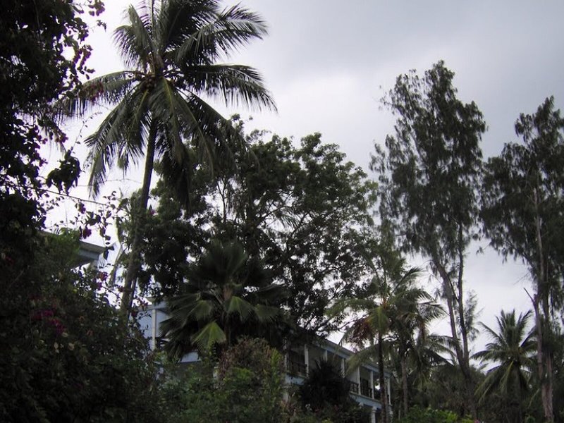 Mombasa Beach 8