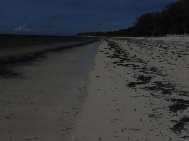 Mombasa Beach 12