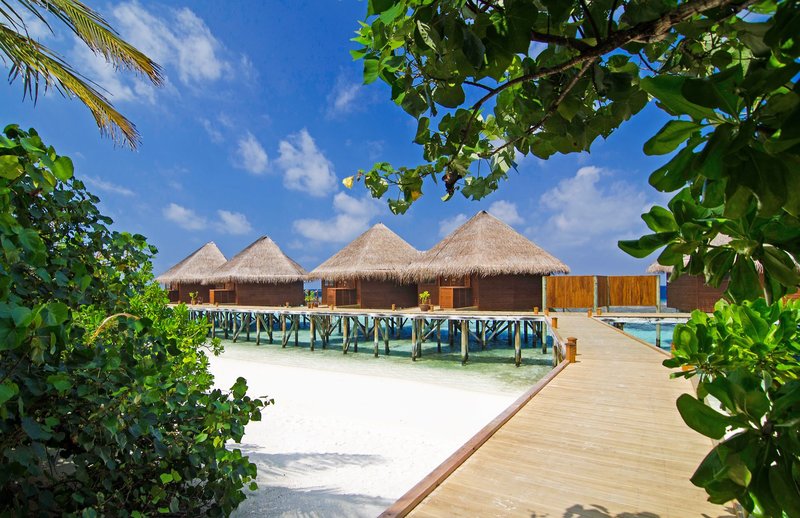 Mirihi Island Resort 3
