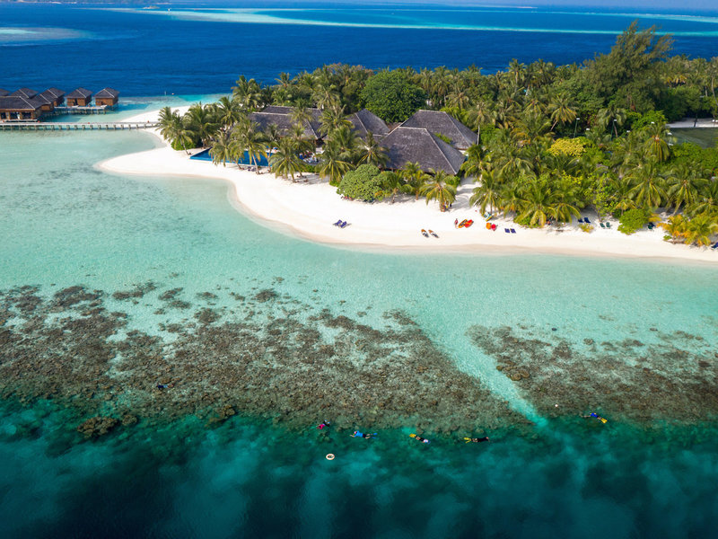 Vilamendhoo Island Resort & Spa 8