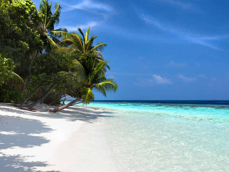 Vilamendhoo Island Resort & Spa 9