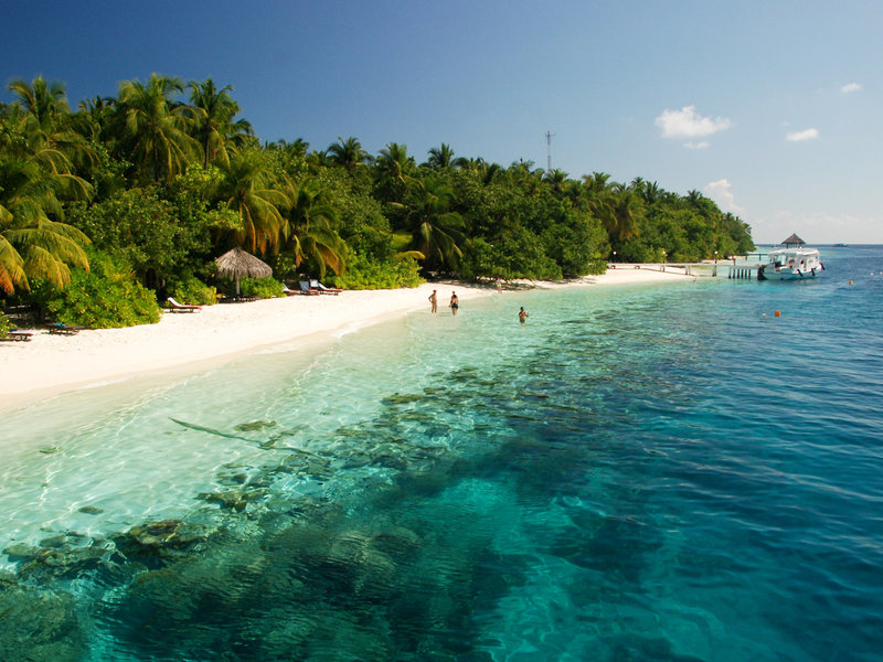 Vilamendhoo Island Resort & Spa 10
