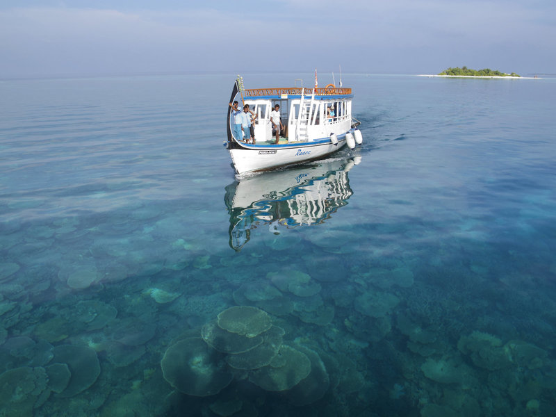 Vilamendhoo Island Resort & Spa 31