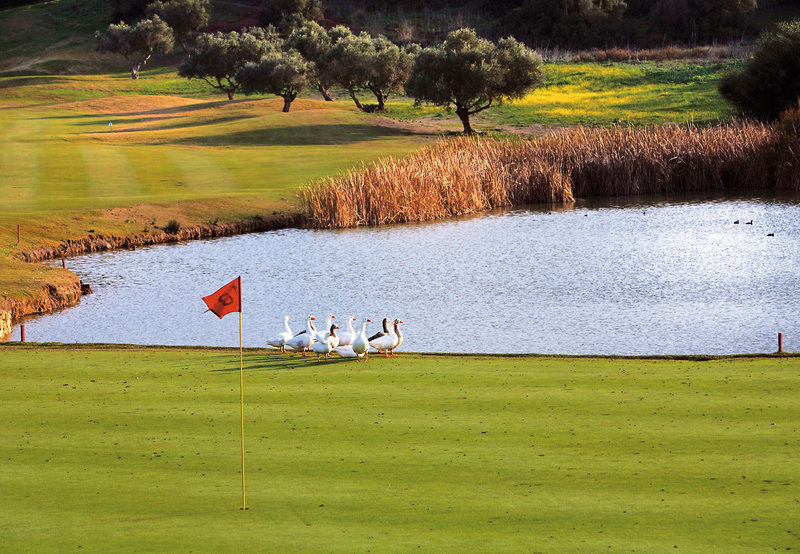 Barceló Montecastillo Golf 39