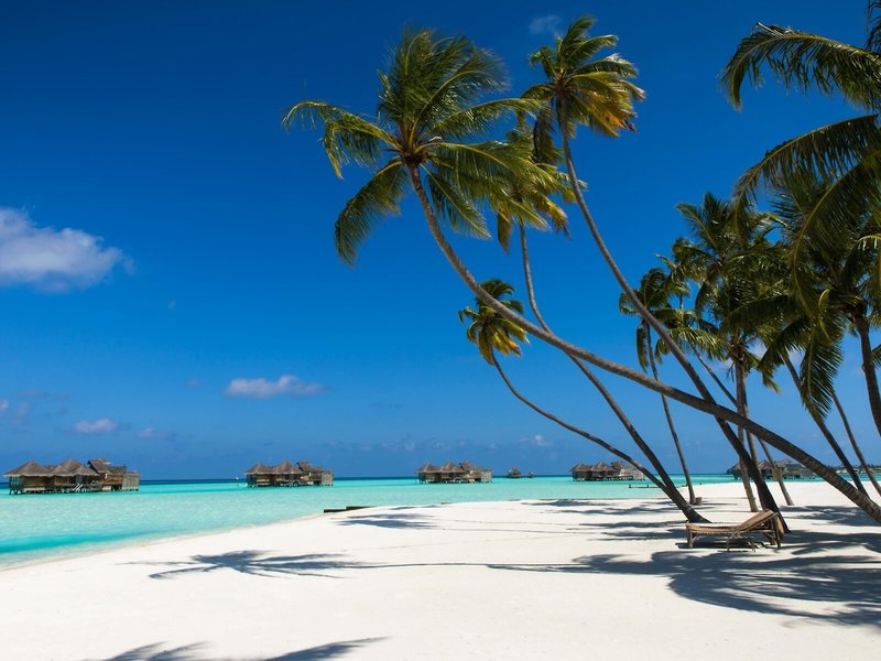 Gili Lankanfushi 3