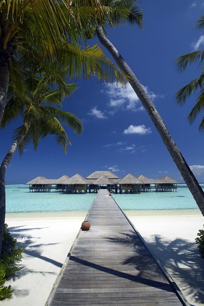 Gili Lankanfushi 22